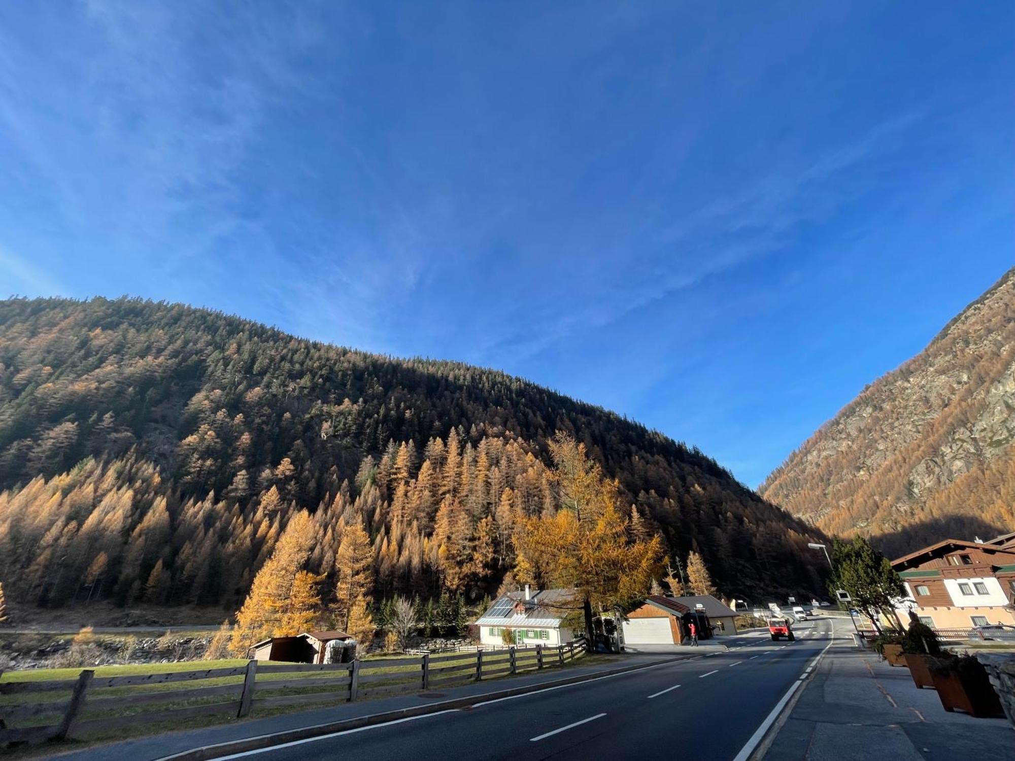 Alpenfels Zwieselstein
