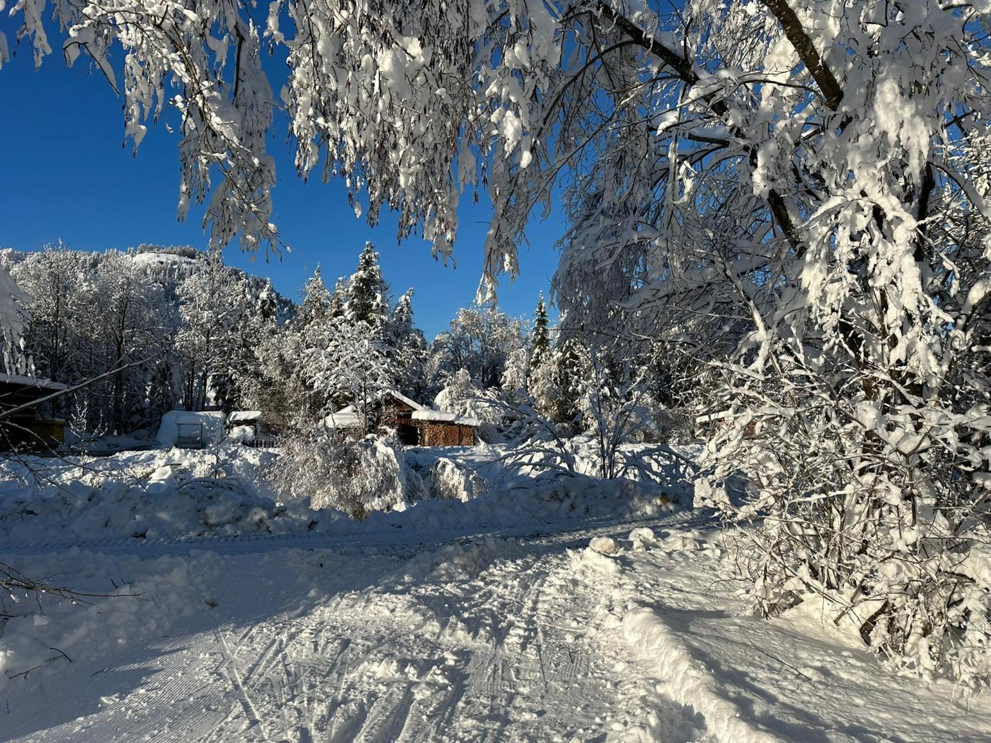 Alpenfels Zwieselstein Apartamento *